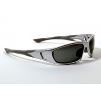 FB-Eye Gun Metal Frame/Black Tips/ Smoke Lenses